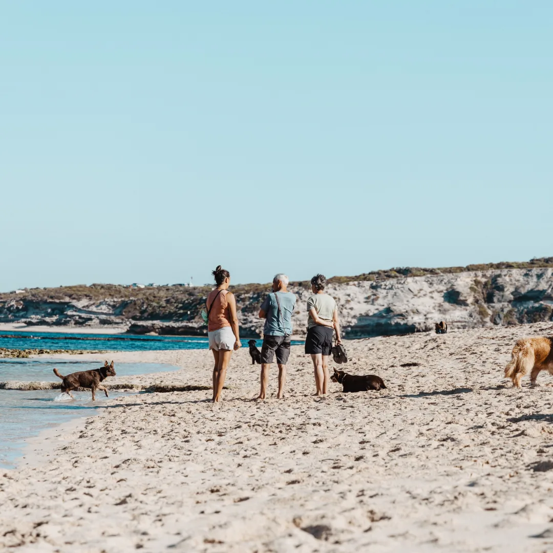 Dog enjoying a walk at Gnarabup Dog Beach with pet sitting services by Swell Stays in Margaret River.