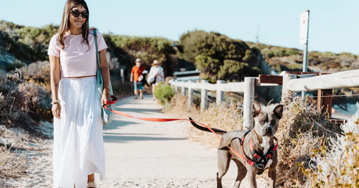 Swell Stays concierge services offered through Swell Stays in Margaret River